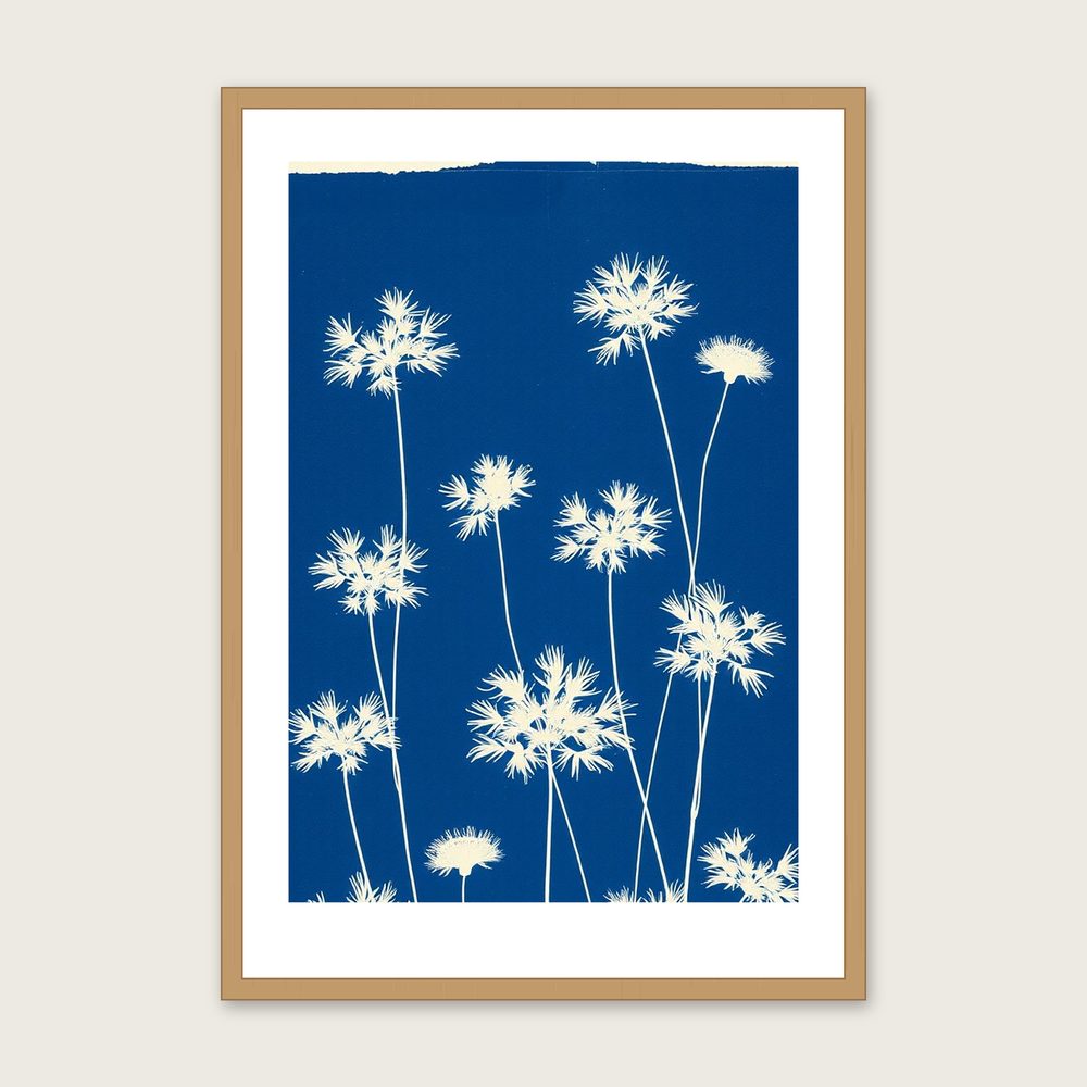 Tufted Vetch Botanical Wall Art - Framed Two Tone Cyanotype Print in a oak frame