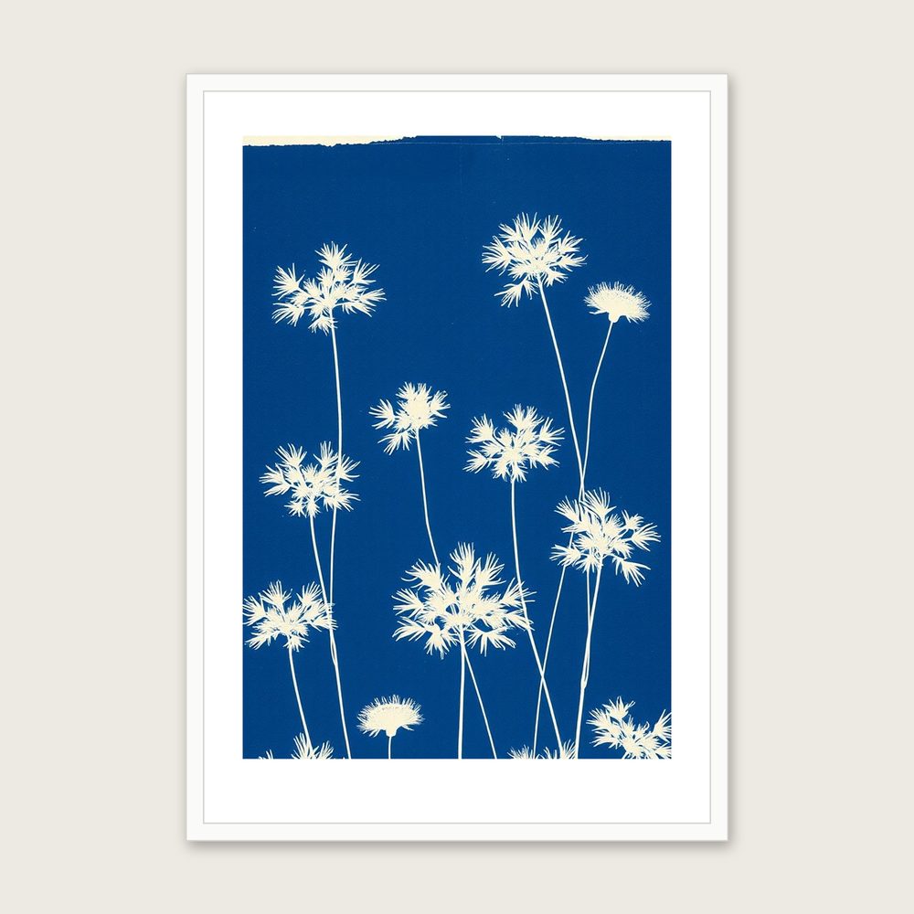 Tufted Vetch Botanical Wall Art - Framed Two Tone Cyanotype Print in a white frame