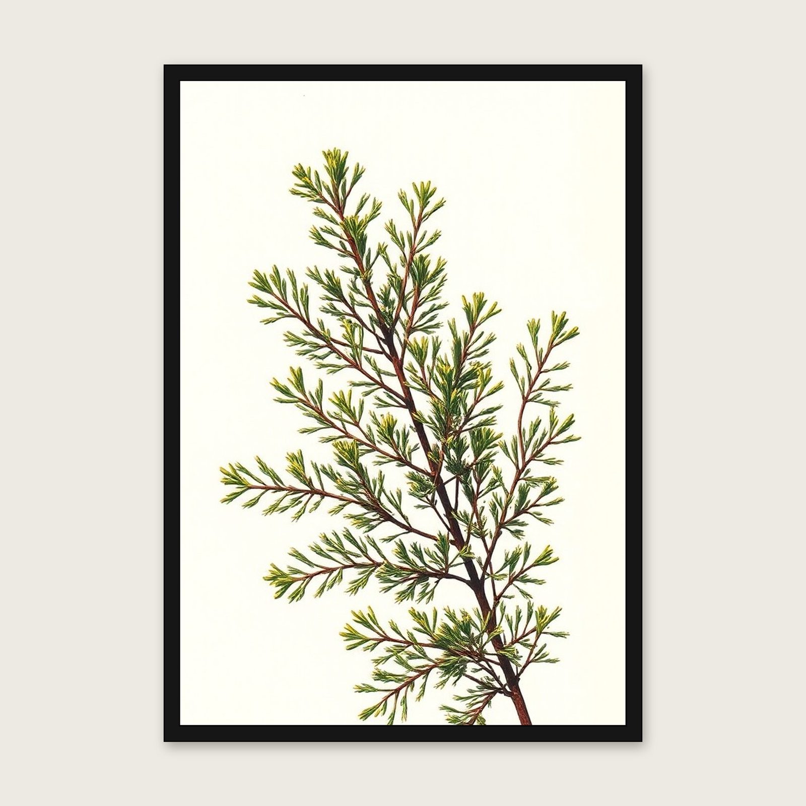 Framed Riso Print of Cedar of Lebanon Branch - Colourful Botanical Wall Art shown in a black frame