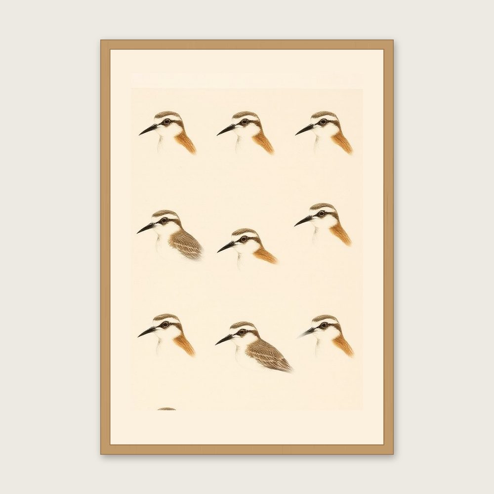 Curlew - Framed Monotype Animal Print in Neutral & Beige in a oak frame