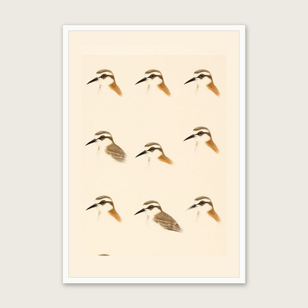 Curlew - Framed Monotype Animal Print in Neutral & Beige in a white frame