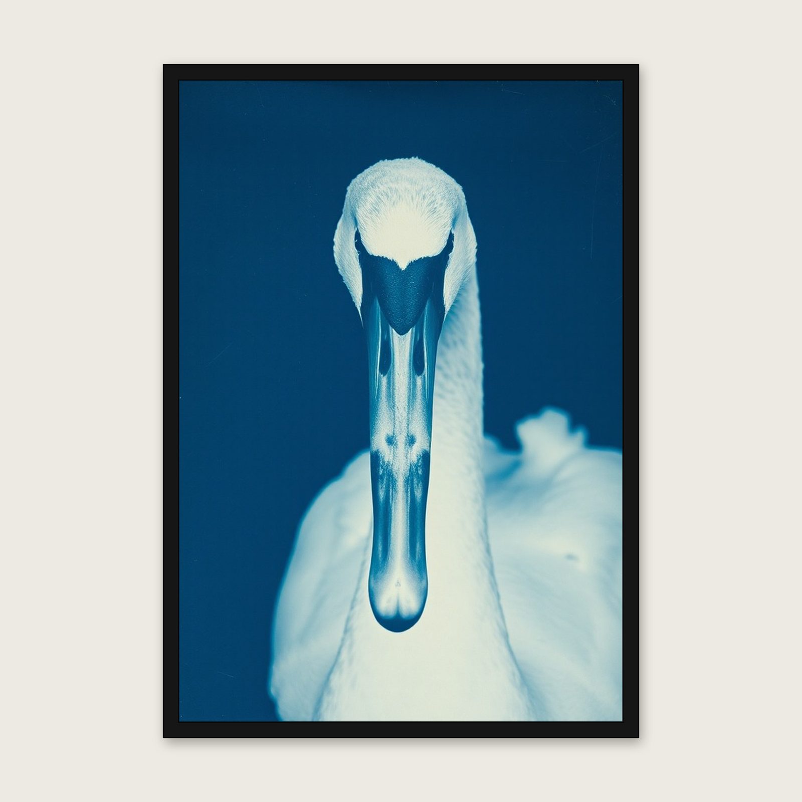 Framed Cyanotype Print of Mute Swan - Two Tone Animal Wall Art shown in a black frame