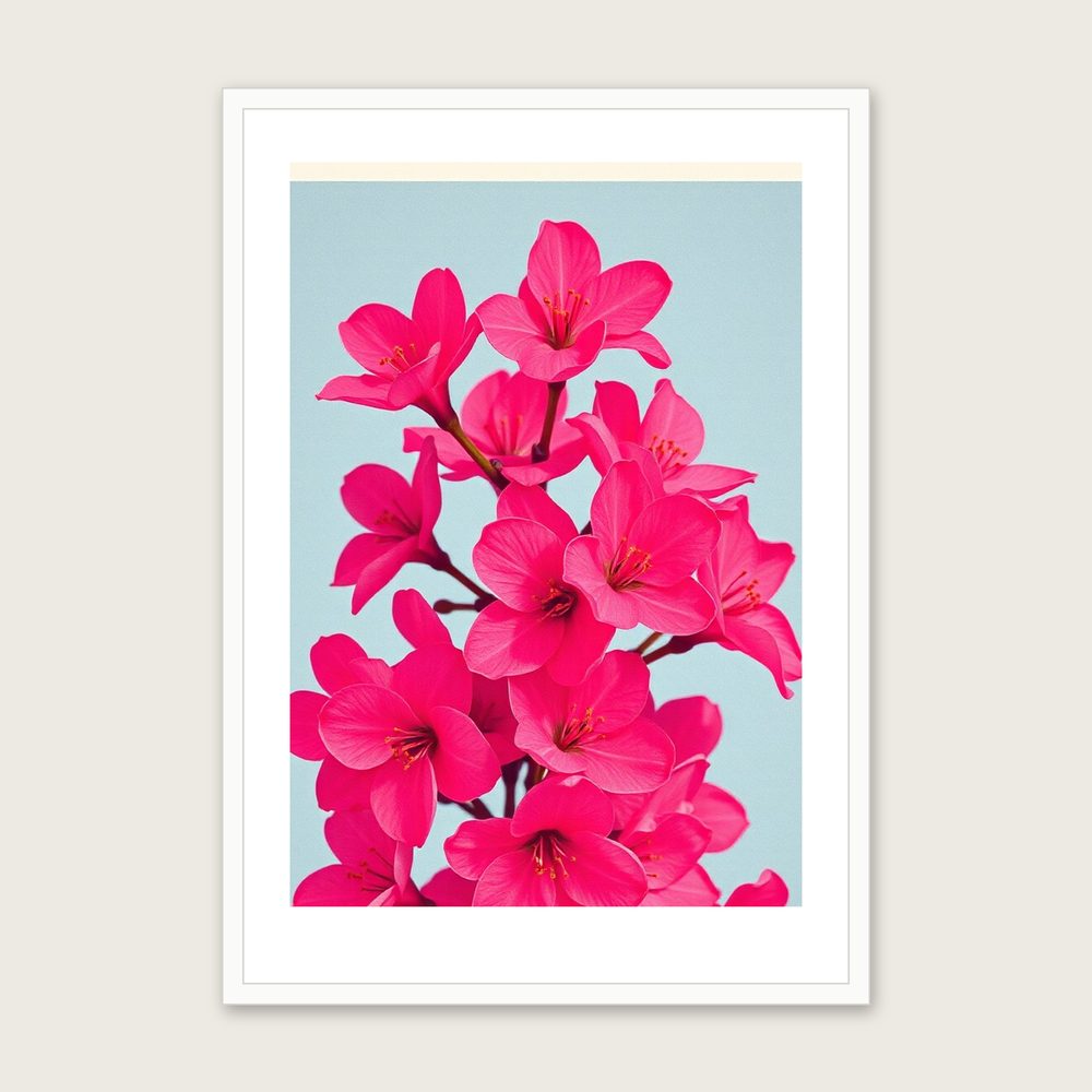Azalea Flower - Framed Riso Print Botanical Print in Colourful in a white frame