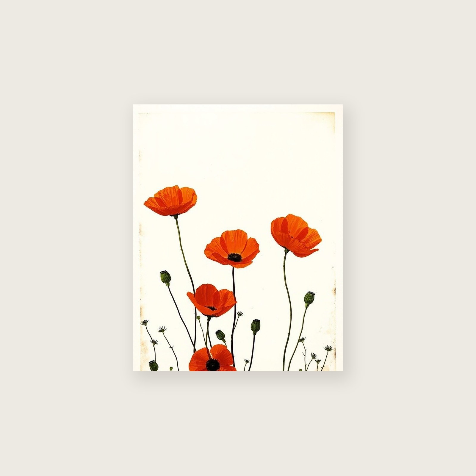 Wild Poppies Monotype Print - Two Tone Botanical Wall Art - Unframed Print, A3