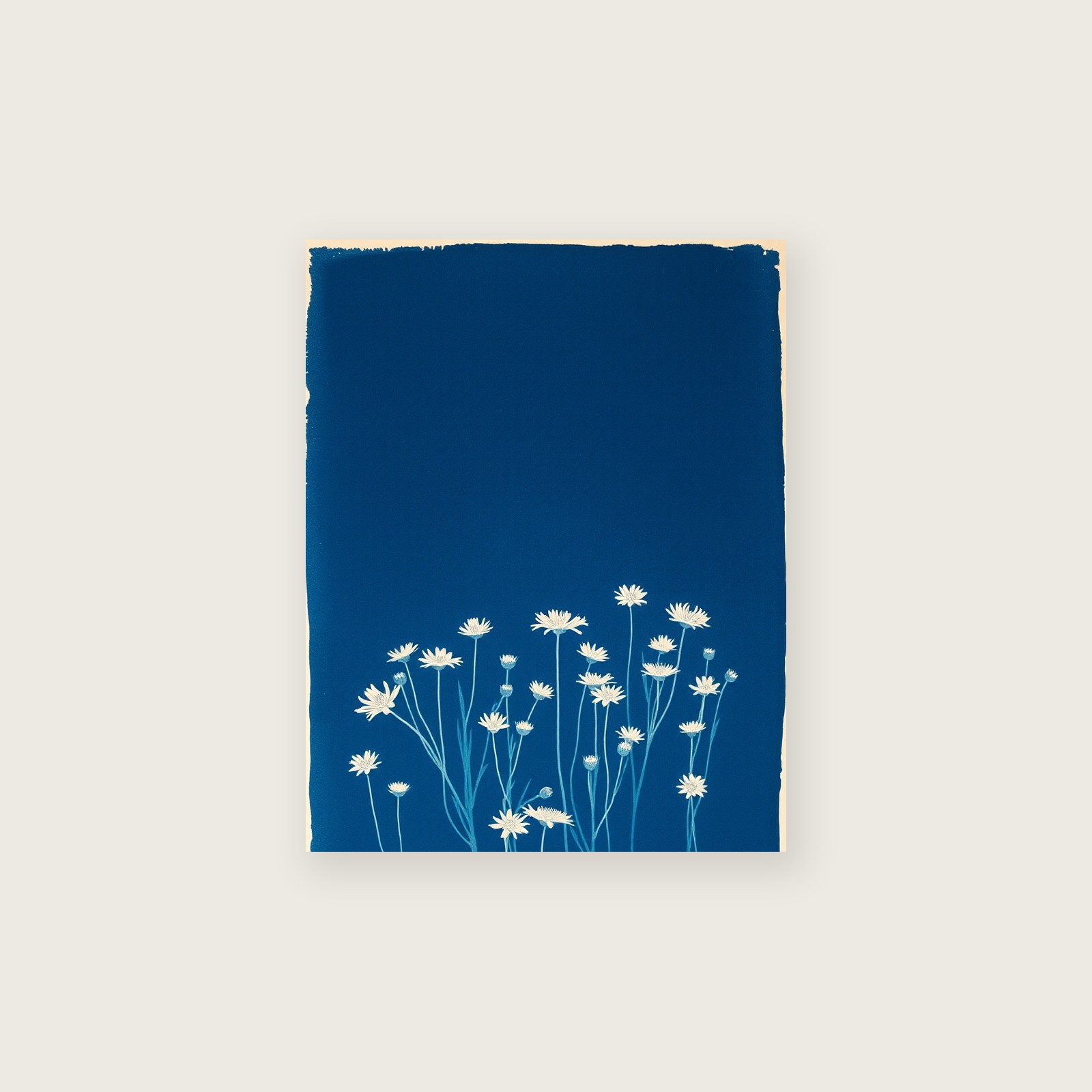 Scabious Field Botanical Wall Art - Framed Two Tone Cyanotype Print, unframed print