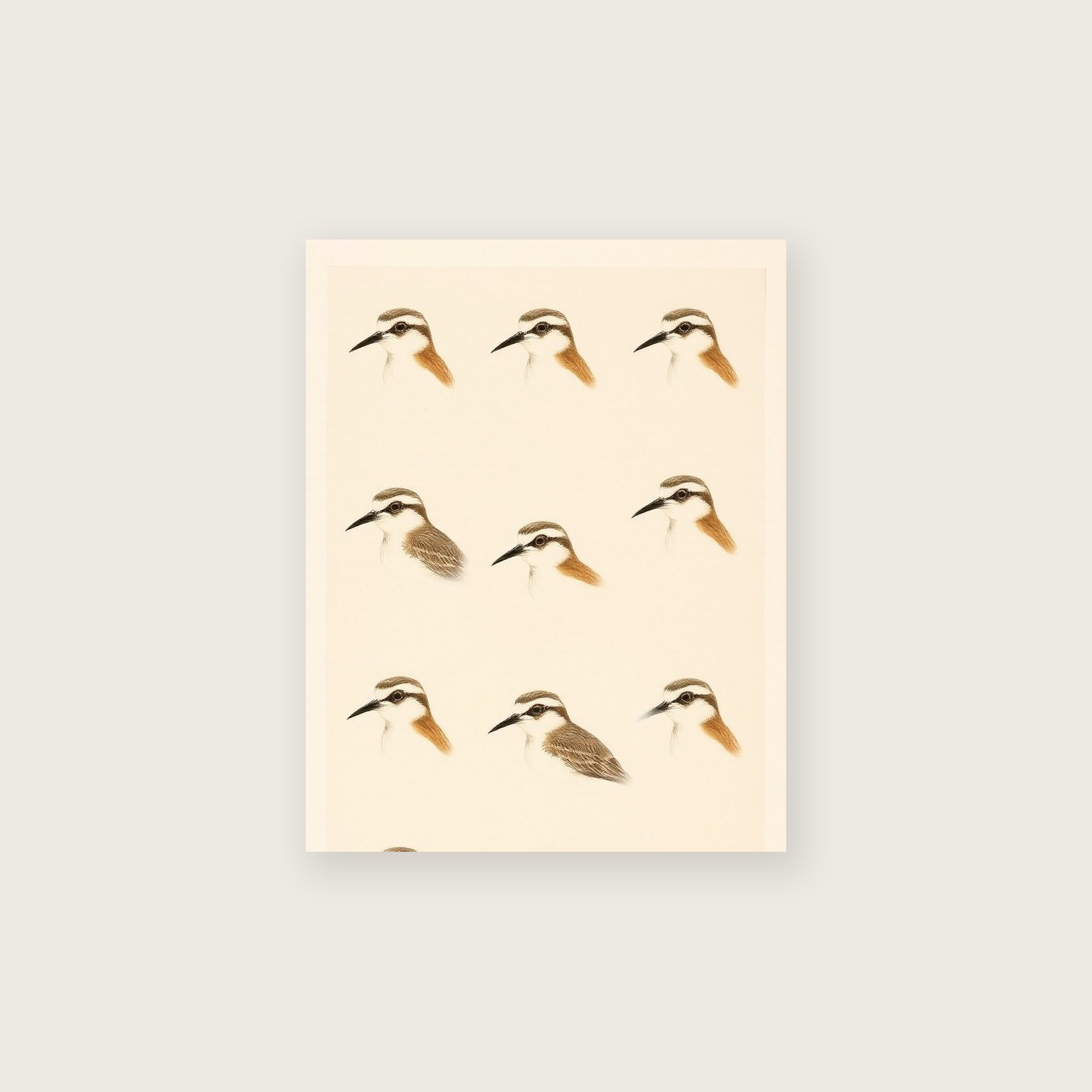 Curlew - Monotype Animal Print in Neutral & Beige - Unframed Print, A3